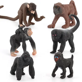 De Dimensiuni Mici Maimuțe Animal Figura Jucarii De Colectie Animal Sălbatic Cunoaștere Figurine Copii Jucarii De Plastic
